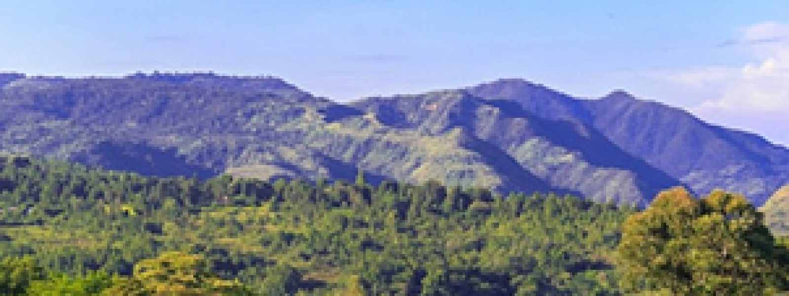 Baringo