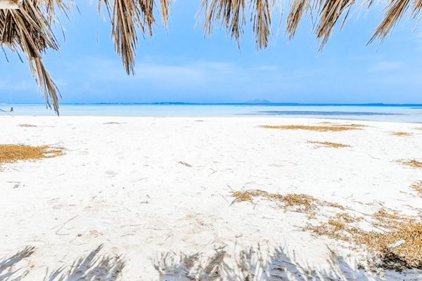 Coastal Relaxation & Swahili Culture