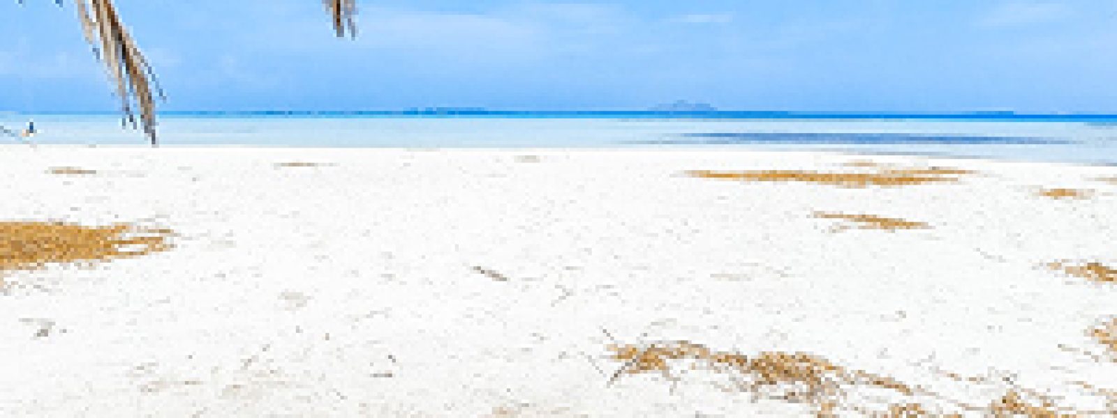 Diani