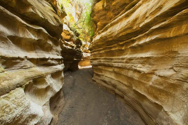 Day Trip to Hell’s Gate & Lake Naivasha