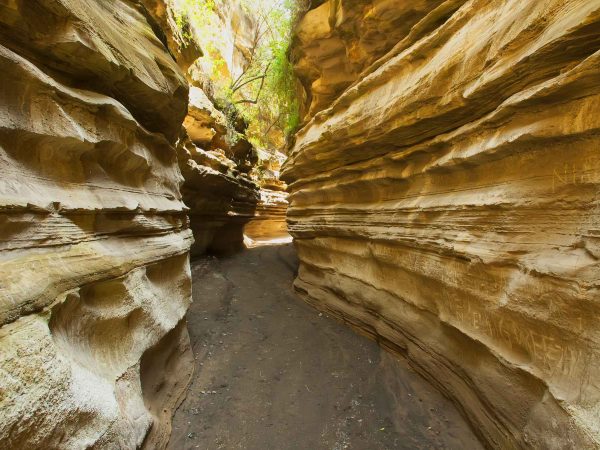 Day Trip to Hell’s Gate & Lake Naivasha