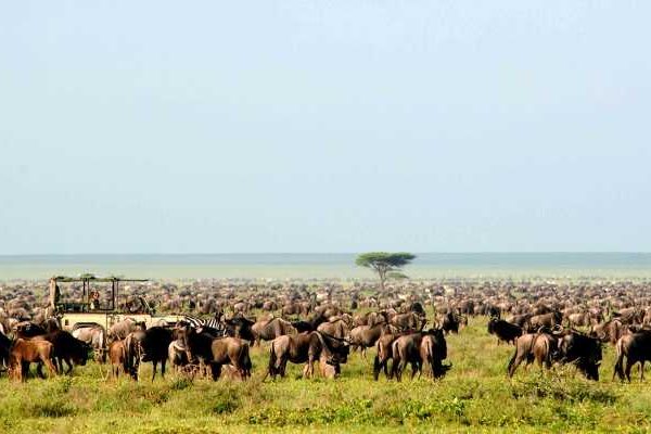 4 Days 3 Nights Departure Package