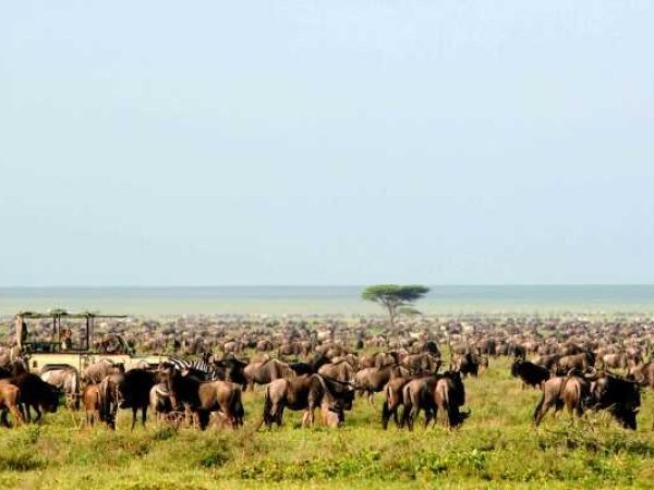 4 Days 3 Nights Departure Package