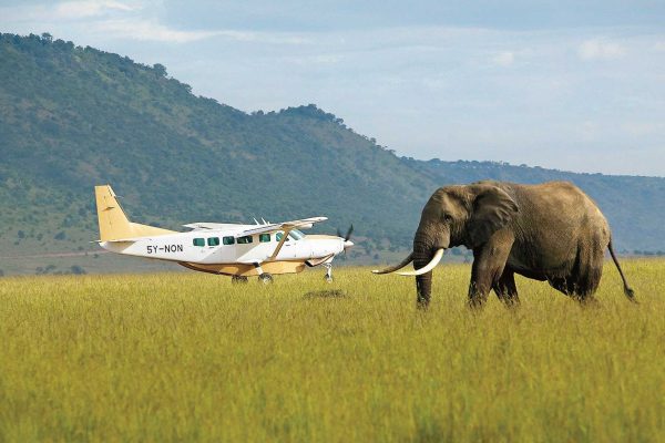 LONG SAFARI : PREMIUM FLYING PACKAGE