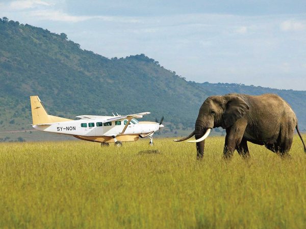 LONG SAFARI : PREMIUM FLYING PACKAGE